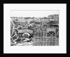 Early Map of Holllywood by Anonymous