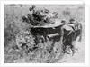 Destroyed Army Tanks by Anonymous