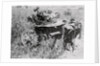 Destroyed Army Tanks by Anonymous