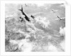 Martin B-26 Bomber Planes in Flight Over Belgium by Anonymous
