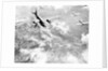 Martin B-26 Bomber Planes in Flight Over Belgium by Anonymous