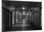 Hallways of The Department of Justice by Anonymous