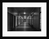 Hallways of The Department of Justice by Anonymous