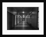 Hallways of The Department of Justice by Anonymous