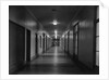 Hallways of The Department of Justice by Anonymous