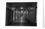 Hallways of The Department of Justice by Anonymous