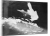 Japanese Ship Under Attack by Anonymous