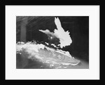 Japanese Ship Under Attack by Anonymous