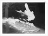 Japanese Ship Under Attack by Anonymous