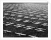 Hundreds of B-29 Flying Fortresses Await Scrap Heap by Anonymous