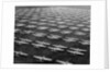 Hundreds of B-29 Flying Fortresses Await Scrap Heap by Anonymous