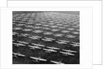 Hundreds of B-29 Flying Fortresses Await Scrap Heap by Anonymous