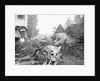 Crashed Plane of Howard Hughes by Anonymous
