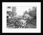 Crashed Plane of Howard Hughes by Anonymous