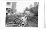 Crashed Plane of Howard Hughes by Anonymous