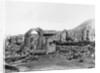 Scene of Devestation from Mount Pelee Eruption by Anonymous