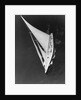 Harold Vanderbilt's Yacht Sailing by Anonymous