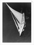 Harold Vanderbilt's Yacht Sailing by Anonymous