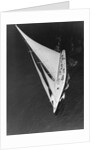 Harold Vanderbilt's Yacht Sailing by Anonymous