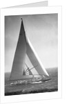 Endeavor II Losing America's Cup by Anonymous