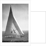 Endeavor II Losing America's Cup by Anonymous