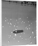 Blimp Shadow Over Regatta by Anonymous