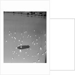 Blimp Shadow Over Regatta by Anonymous