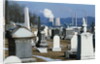 Nuclear Plant and Cemetery by Anonymous