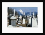 Nuclear Plant and Cemetery by Corbis