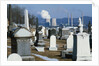 Nuclear Plant and Cemetery by Corbis