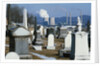 Nuclear Plant and Cemetery by Corbis