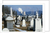 Nuclear Plant and Cemetery by Corbis