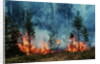 Forest Fire Blazing by Anonymous
