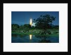 Space Shuttle Challenger Launching by Anonymous