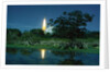 Space Shuttle Challenger Launching by Anonymous