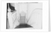 Staircase in Winchester Mystery House by Anonymous