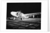 Howard Hughes Lockheed 14 Super Electra on Runway by Anonymous