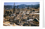 Hiroshima Aftermath by Anonymous
