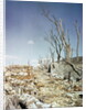 Rubble Remaining from Atomic Bomb Explosion by Anonymous
