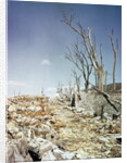 Rubble Remaining from Atomic Bomb Explosion by Anonymous