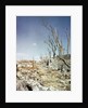 Rubble Remaining from Atomic Bomb Explosion by Anonymous