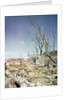 Rubble Remaining from Atomic Bomb Explosion by Anonymous