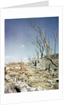 Rubble Remaining from Atomic Bomb Explosion by Anonymous