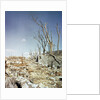 Rubble Remaining from Atomic Bomb Explosion by Anonymous
