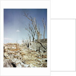 Rubble Remaining from Atomic Bomb Explosion by Anonymous
