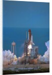 Space Shuttle Challenger Lifting Off by Anonymous