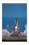 Space Shuttle Challenger Lifting Off by Anonymous