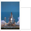 Space Shuttle Challenger Lifting Off by Anonymous