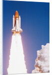 Challenger Space Shuttle Lifting Off by Anonymous