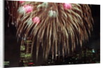 Fireworks Display by Anonymous